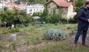 Maîtrise de l’étalement urbain et nature en ville : retour d’expérience de la ville de Clermont-Ferrand