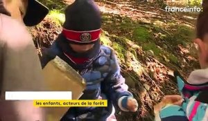 Dans le Cantal, des enfants gèrent une parcelle de forêt pour apprendre à protéger la nature