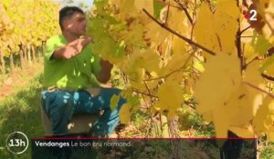 Calvados : un vignoble à succès dirigé par un ancien notaire