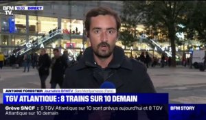 TGV Atlantique: 8 trains sur 10 seront maintenus ce samedi