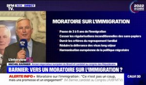 Michel Barnier sur l'immigration: "Il faut donner le signal que le monde entier n'est pas le bienvenu chez nous, (...) nous devons pouvoir choisir"