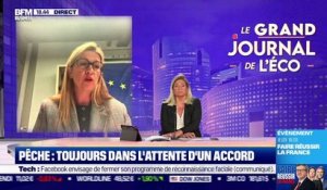 Stéphanie Yon-Courtin (Députée européenne Renaissance) : Pêche, toujours dans l'attente d'un accord - 02/11