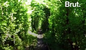 Le tunnel de l'amour, paysage bucolique en Ukraine
