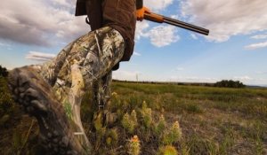 Chasse interdite dans une commune bretonne, suite au décès d'un automobiliste, tué par le tir d'un chasseur