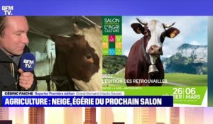 Agriculture : Neige, égérie du prochain Salon - 17/11