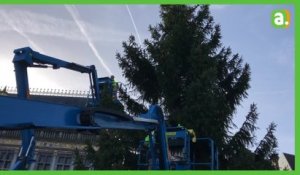 Le sapin est arrivé sur la Grand-place de Tournai