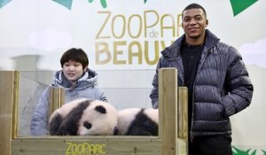 Huanlili et Yuandudu, les pandas du zoo de Beauval, baptisés en présence de Kylian Mbappé