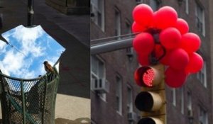 Ce photographe capture des instants magiques créés par des illusions d'optique dans les rues de New York