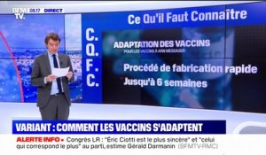 Covid-19: face aux nouveaux variants, comment les laboratoires adaptent-ils les formules des vaccins ?
