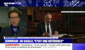 Pour Geoffroy Didier, Éric Zemmour "ne dresse jamais de solution et ne porte jamais un espoir"