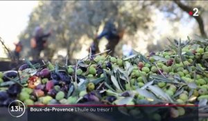 Bouches-du-Rhône : de l’huile d’olive produite en famille depuis vingt-cinq ans