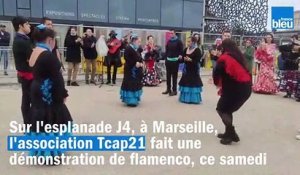 Des Marseillais atteints de trisomie 21 dansent le flamenco pour le Téléthon
