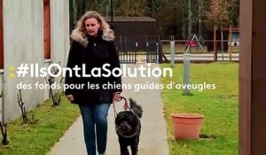 A Mérignac, une école de chiens guides pour déficients visuels recherche des donateurs et des familles d’accueil
