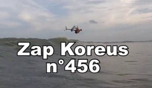 Zap Koreus n°456
