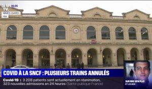 La SNCF contrainte d'annuler plusieurs trains à cause du Covid-19