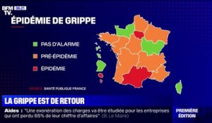 La grippe fait son grand retour en France, le stade épidémique déclaré en Île-de-France et en Occitanie
