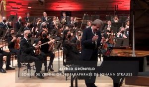 Grünfel : Soirée de Vienne op.56 (Rudolf Buchbinder)
