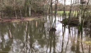 L’eau commence à monter tout autour de Romilly