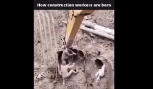 Voilà comment naissent les ouvriers