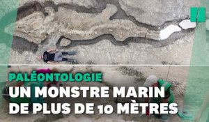 Un "dragon des mers" vieux de 180 millions d'années découvert au Royaume-Uni