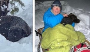 Californie : une mission de sauvetage a permis de retrouver un chien perdu dans la neige depuis quatre mois