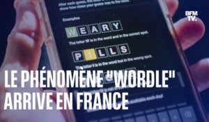 "Wordle", adaptation en ligne de Motus, connaît un vrai succès sur les réseaux sociaux