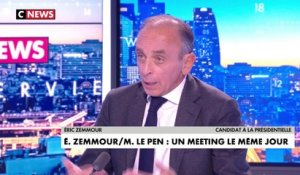 Éric Zemmour : «Il n’y a pas de monopole de la candidature»