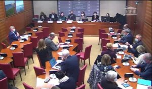 Commission du développement durable : représentants de la Convention des entreprises pour le climat (CEC) - Mercredi 19 janvier 2022