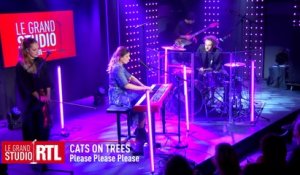 Cats On Trees interprète "Please Please Please" dans "Le Grand Studio RTL"