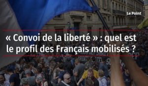 « Convoi de la liberté » : quel est le profil des Français mobilisés ?