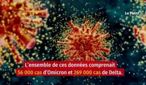 Covid-19 : moins d’hospitalisations avec Omicron qu’avec Delta