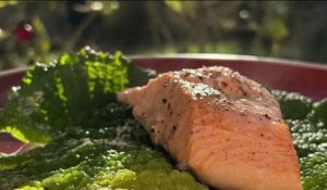 Gourmand - Feuilles de chou farcies au saumon