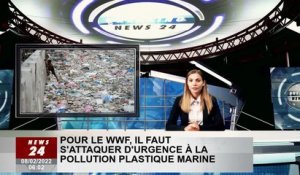 La pollution plastique marine doit être combattue de toute urgence, selon le WWF