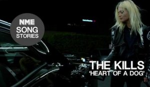 The Kills, 'Heart Of A Dog' - NME Song Stories