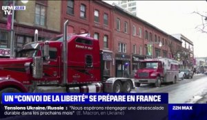 Un "convoi de la liberté" se prépare en France