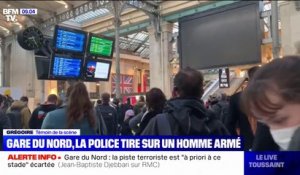 Gare du Nord: un témoin de la scène décrit "un homme assez grand, avec une lame très impressionnante"