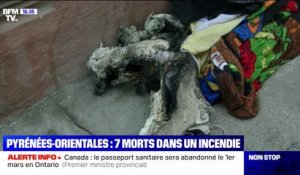 Incendie à Saint-Laurent-de-la-Salanque: "On a vu une personne au sol qui a été éjectée par la déflagration"