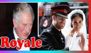 Souhaitez-vous que Meghan et Harry rejoign3nt la famille royale en activité sous le roi Charles ?