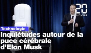 Neuralink : Les scientifiques s'inquiètent du projet de puce cérébrale d’Elon Musk