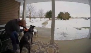 Ne jamais attacher son gros chien à un poteau de la maison !