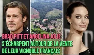 Brad Pitt et Angelina Jolie s’écharpent autour de la vente de leur vignoble français