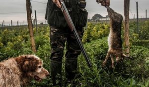 L'interdiction de la chasse le mercredi et le week-end réclamée par la gauche après l'accident dans le Cantal