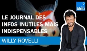 Le journal des infos inutiles mais indispensables - Le billet de Willy Rovelli