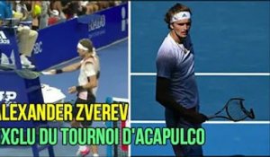 Alexander Zverev exclu du tournoi d'Acapulco pour avoir frappé la chaise d'un arbitre avec sa raquet