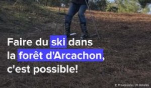 Du ski sur aiguilles de pin, à Arcachon!