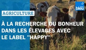 À la recherche du bonheur dans les élevages avec le label "Happy"