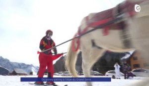 Reportage - Du poney joëring à l'Alpe du Grand Serre