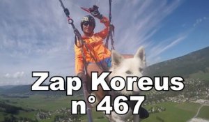 Zap Koreus n°467