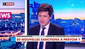 Julien Denormandie : «La France est beaucoup plus souveraine en énergie»