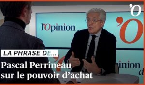 Pascal Perrineau: «Un feu couve sous la question du pouvoir d’achat»